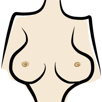 Illustration von seitlich runden Brüsten